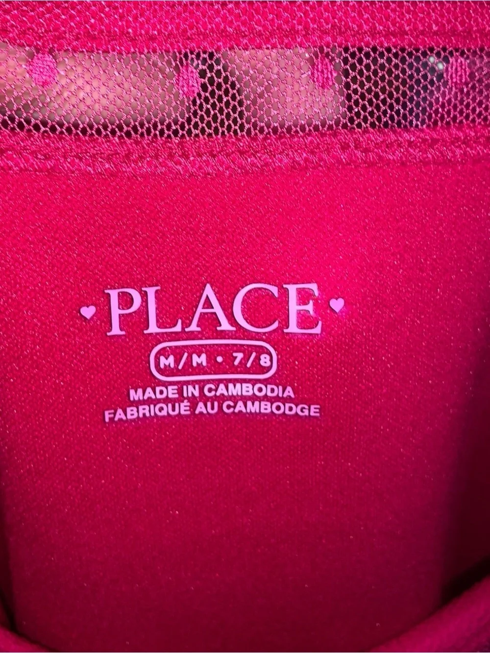 NWT The Children’s Place Pink Red Mesh Fit & Flare Dress Girls Medium